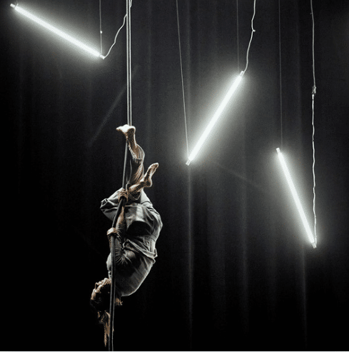 Finalists & Laureates circusnext - European Circus Label