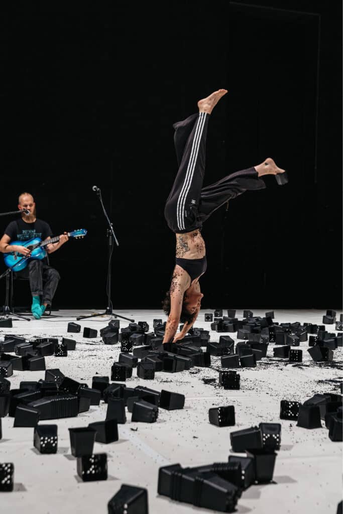 Verein Freifall circusnext - European Circus Label