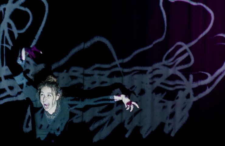 Actualités circusnext - European Circus Label